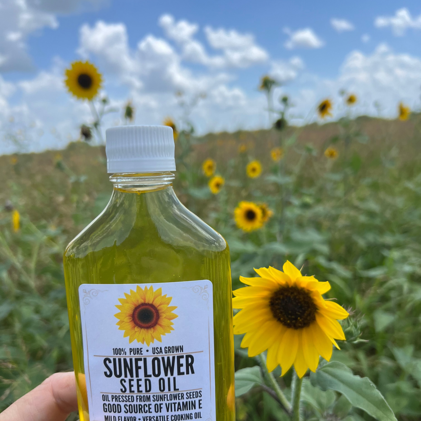 Sunflower Seed Oil